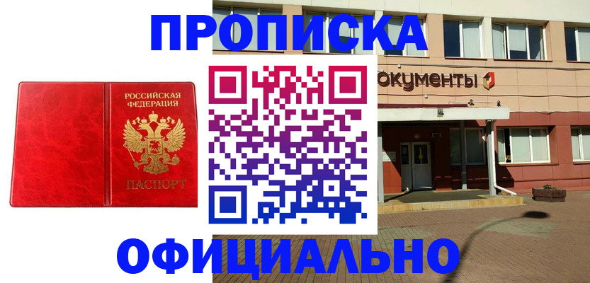 прописка паспорт в Бабаево